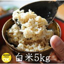 【平成29年度産】長野県産 れんげ米 白米・5kg