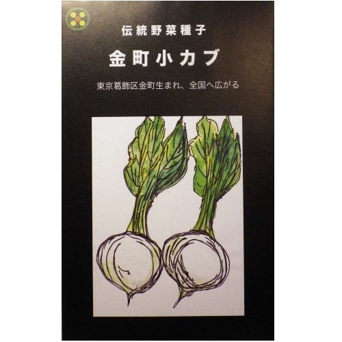 在来種/固定種/伝統野菜の種 金町小カブ5ml約1200粒/畑懐〔はふう〕の種【メール便可】