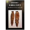 在来種/固定種/伝統野菜の種 大浦太ゴボウ8ml約350粒/畑懐〔はふう〕の種【メール便可】