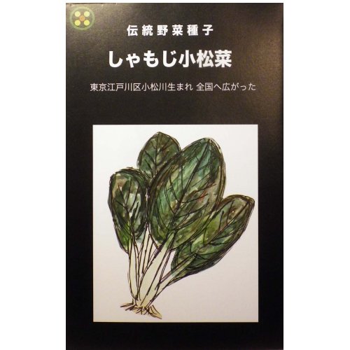 在来種/固定種/伝統野菜の種 しゃもじ小松菜〔丸葉小松菜〕5ml約900粒/畑懐〔はふう〕の種【メール便可】