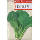 在来種/固定種/野菜のタネ「東京黒水菜5ml(約1200粒)」畑懐〔はふう〕の種【メール便可】