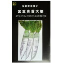 在来種/固定種/野菜のタネ「宮重総太り大根(青首)5ml(約200粒)」畑懐〔はふう〕の種【メール便可】