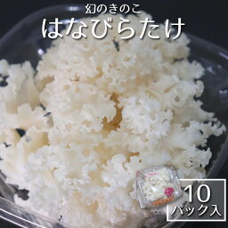 【冷蔵】信州産・<strong>はなびらたけ</strong> 〔10パック入〕 【送料当店負担】