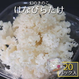 【冷蔵】信州産・<strong>はなびらたけ</strong> 1箱 〔20パック入〕 【送料当店負担】