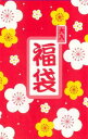 ★福袋2010★【送料無料】 5000円相当が2000円送料...