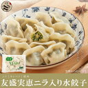 実恵特色韮菜餃子(ニラ入り水餃子・水ギョーザ)調理簡単 中華料理人気商品・中国特産・中華食材