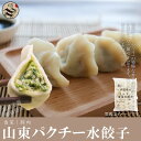 中国名点山東香菜水餃子(シャンツアイ・パクチ入りモチモチ水ギョーザ)1kg約50個・ お得!激安・もちもち・本場の味 お惣菜・鍋・冷凍・中華料理