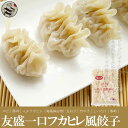 友盛中華名点特色魚翅風味餃子(一口フカヒレ風味ギョーザ) 500g お得! ふかひれ フカヒレ 高級食材 お取り寄せ 中華料理人気商品 中国名物