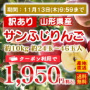 ≪530円割引クーポン配布中!!≫【訳あり★送料無料】山形県産サンふじりんご約10kg★約24玉〜46玉入り★※九州・沖縄・一部離島を除く