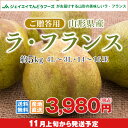 果物 ギフト 送料無料 山形県産洋梨ラフランス約5kg(3L...