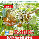 【訳ありお買い得品★西洋梨】山形県産ゼネ...
