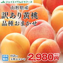 桃 訳あり 山形県産 黄桃品種おまかせ 約2kg(5玉〜10...