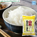 米 送料無料 10kg 30年産 山形県産 あきたこまち 精...