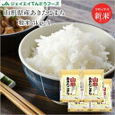 米 送料無料 20kg 令和元年産 山形県産 あきたこまち ...