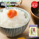 米 5kg コシヒカリ 送料無料 令和元年産 山形県産コシヒカリ精米 5kg ※一部地域は別途送料追加 ryk0501