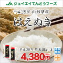 米 10kg 送料無料 29年産 10kg 山形県産 はえぬ...
