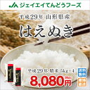 米 送料無料 29年産 山形県産 はえぬき 精米 白米 20...