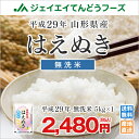 米 送料無料 新米 29年産 山形県産はえぬき無洗米5kg ...