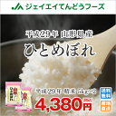 米 10kg 送料無料 29年産米 山形...