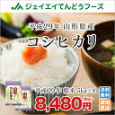 米 送料無料 29年産米 山形県産コシヒカリ精米2