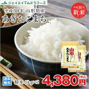 新米 送料無料 10kg 30年産 山形県産 あきたこまち ...