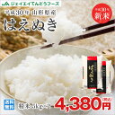 米 10kg 送料無料 30年産 10kg 山形県産 はえぬ...