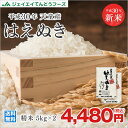新米 送料無料 10kg 30年産 山形県天童産 はえぬき精...