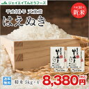 米 送料無料 新米 30年産 山形県天童産はえぬき精米20k...