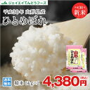 米 10kg 送料無料 30年産米 山形...