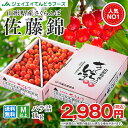 さくらんぼ 佐藤錦 ご家庭用 約1kgバラ詰め 送料無料 一部地域は別途送料追加【c01】早期予約