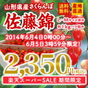 【送料無料】【産地直送】【早期予約】山形県産さくらんぼ(佐藤錦)1kgバラ詰め※一部地域は別途送料追加