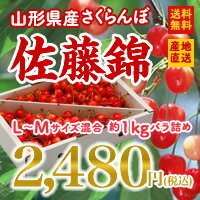 【送料無料】【産地直送】【早期予約】山形県産さくらんぼ（佐藤錦）1kgバラ詰め※一部地域除く【6月下旬から7月上旬発送予定】