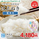 無洗米 30年産 送料無料 10kg 山形県産はえぬき無洗米...