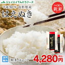 新米 10kg 送料無料 30年産 10kg 山形県産 はえ...