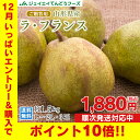 エントリーでポイント10倍 お歳暮 ギフト 送料無料 山形県...