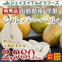ギフト フルーツ 山形県産西洋梨シルバーベル 約5kg(玉数...