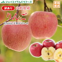 予約商品 訳あり りんご 10kg 送料無料 山形県産 りん...