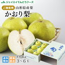 和梨 かおり梨 送料無料 秀品 山形県産和梨かおり梨約3kg...
