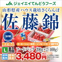 早割ポイント10倍【父の日ギフト】【早期予約】山形県産さくらんぼ(佐藤錦)バラ詰めフードパック200g×2送料無料※一部地域は別途送料追加【c11】