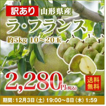 10%OFF商品!あす楽対応【訳あり☆送料無料】山形県産洋梨ラフランス(約5kg・10〜20玉)※九州・沖縄・一部離島を除く ランキングお取り寄せ