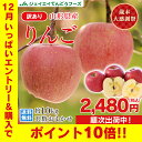 訳あり りんご 10kg 送料無料 山形県産 りんご 約10...
