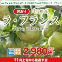 訳あり 果物 ラフランス 山形県産 約5kg(玉数おまかせ)...