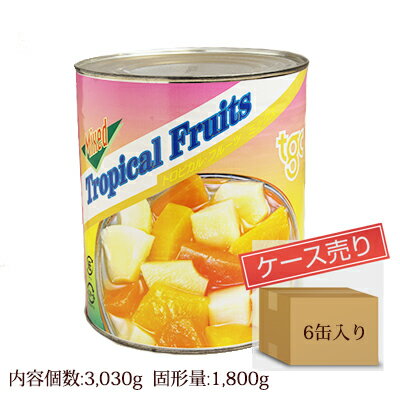 【インドネシア産】トロピカルフルーツ シラップづけ　1号缶（固形量:1800g×6缶入り） ケース売り[天狗缶詰／業務用] ランキングお取り寄せ
