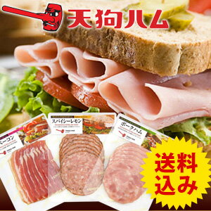 【送料無料】サンドイッチ＆サラダハム　セット【SBZcou1208】