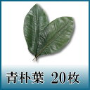 青朴葉 20枚 天極堂 和食 敷き葉 朴葉寿司 朴葉もち ほおのは ほおば ほうば ほうのは