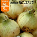 送料無料 たまねぎ 淡路島 新玉ねぎ 玉ねぎ 淡路島産 大小混合 5kg