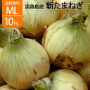 送料無料 淡路島 玉ねぎ 新玉ねぎ 新たまねぎ 大小混合 10kg