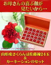 母の日ギフト 山形産さくらんぼ佐藤錦&カーネーションセット 送料無料
