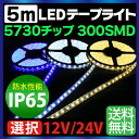 LEDテープ 5m 防水 12V/24V 選択 高防水性 シリコンチューブ LEDテープ 防水 IP65 5730チップ 300SMD LEDテープライト 24V 12V LEDテープ 防水 ledテープ 正面発光 間接照明 看板照明 棚下照明 イルミネーション ホワイト 電球色 ブルー メール便 送料無料