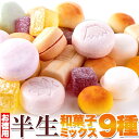半生和菓子ミックス 9種 詰め合わせ 880g (440g×...